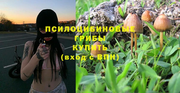 СК Абинск