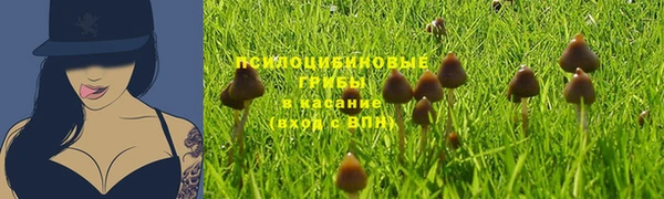 метадон Абаза